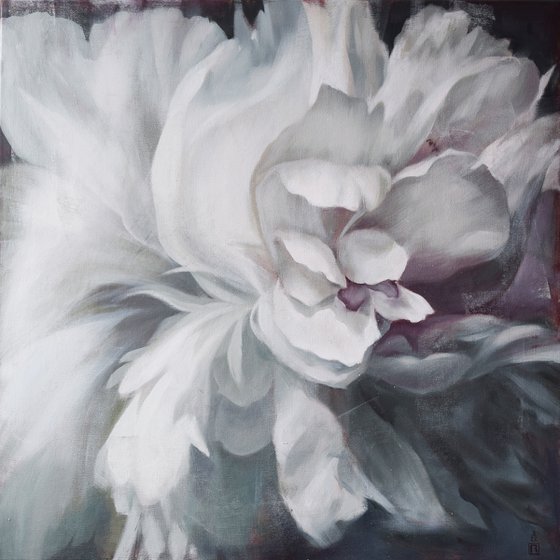 COLD FLOWER- bright large peonies realistic white oil painting gift idea home decor