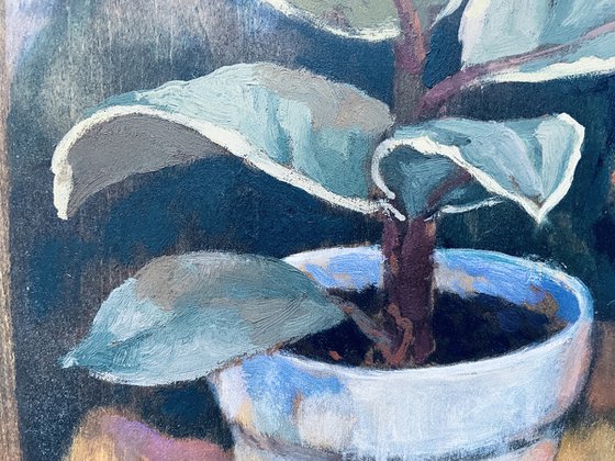 Still life with pomegranate