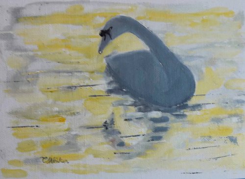 Swan by Chris Walker