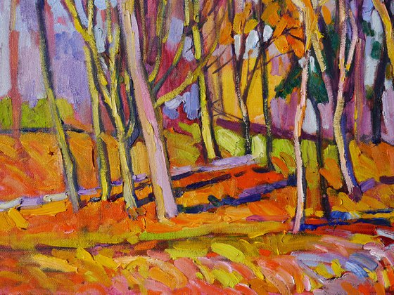 Trees in November