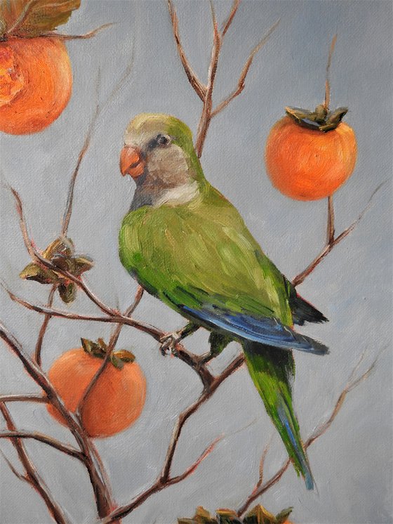 Parrots and persimmons