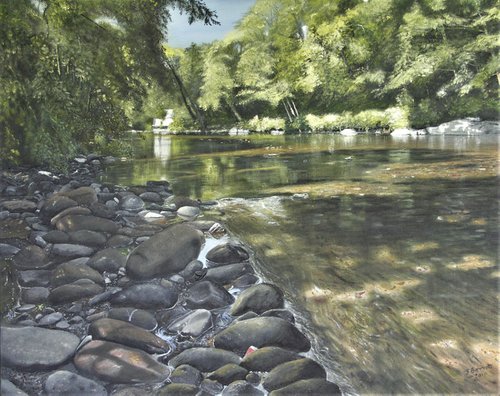 river Dart looking upstream by John Barrett