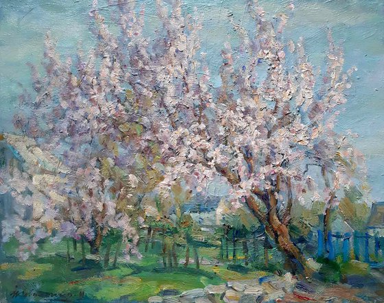 Oil painting Apricot blossoms