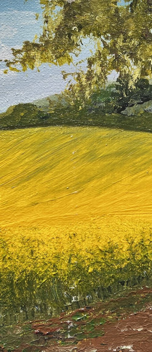 Black Cat in the Rapeseed Field by Marja Brown