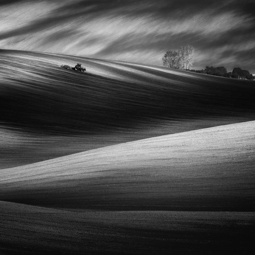 The fields of lights and shadows by Tomasz Grzyb