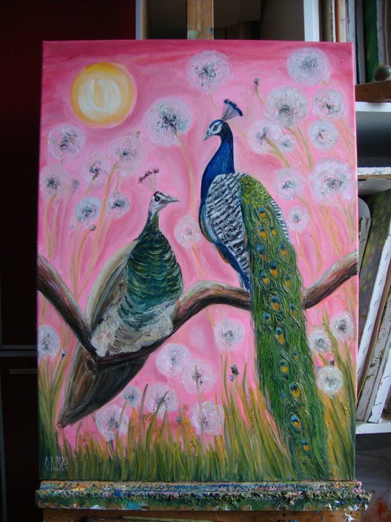 Pair of peacocks