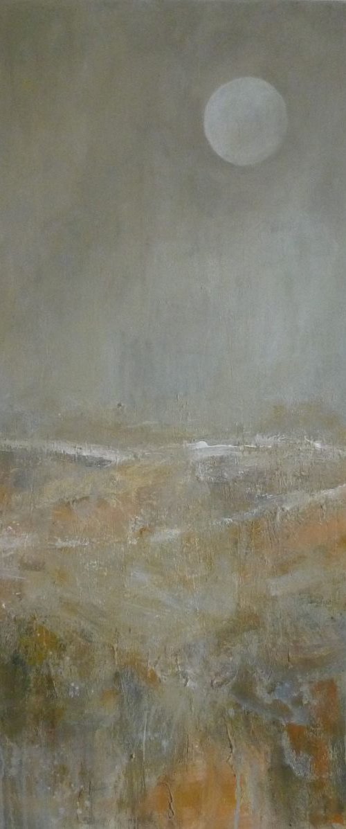 The Moon and the Marshes by Fiona Philipps