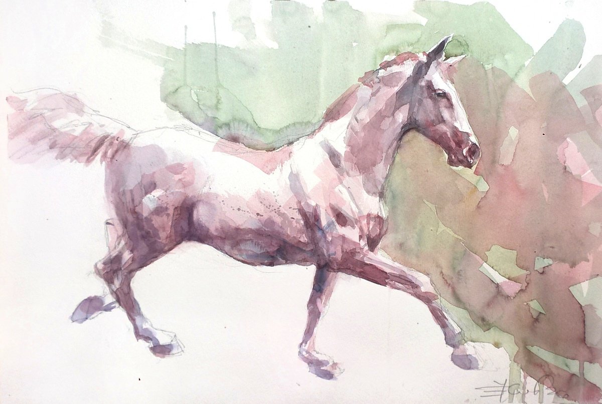 Expressive Animal Watercolour By Goran Zigolic Watercolors, 20 X 14, White Horse, Original Artwork