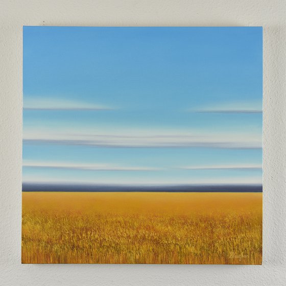 Golden Wheat - Blue Sky Landscape