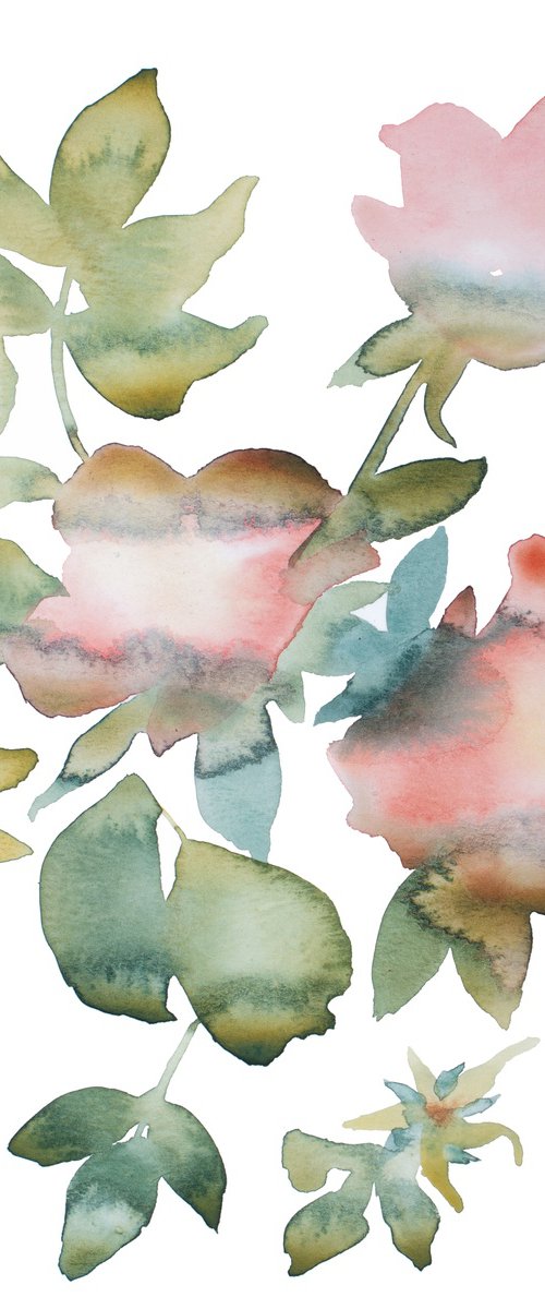 Rose Study No. 82 by Elizabeth Becker