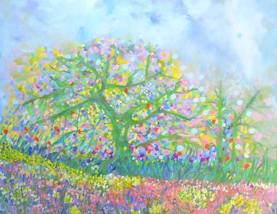 Cherry Blossom Trees 2026