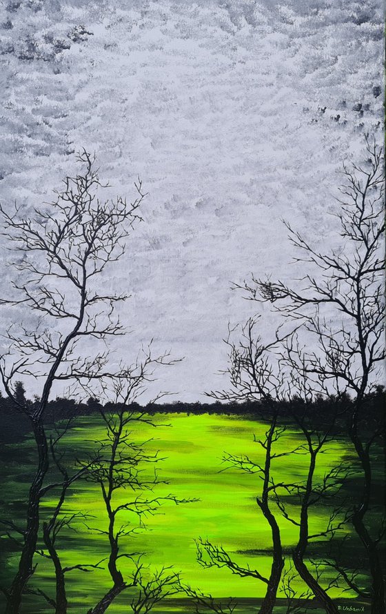 Green lake 3