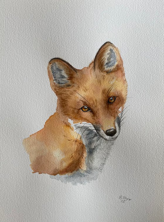 Fox watercolour painting