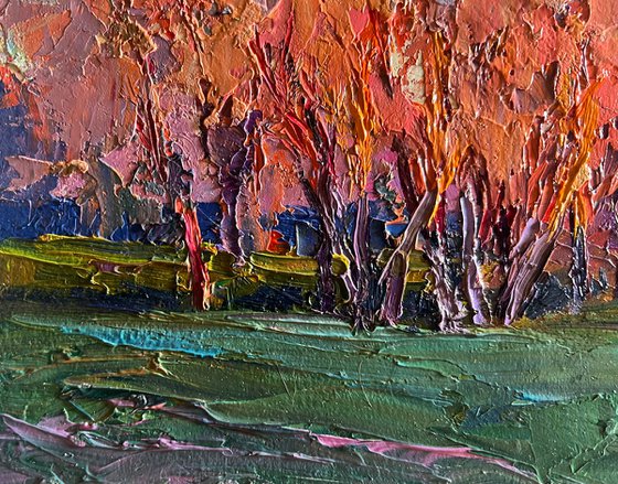 Autumn Evening in the Forest