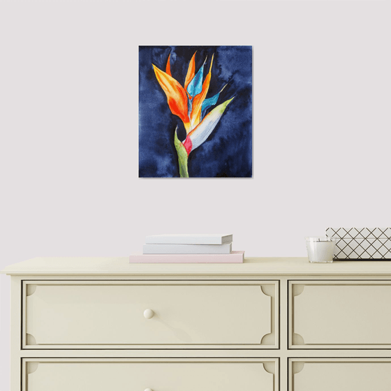 Strelitzia on blue-black velvet, vol.1