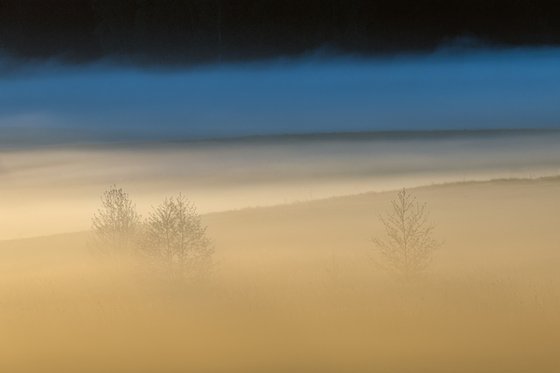 When The Day Wakes Up