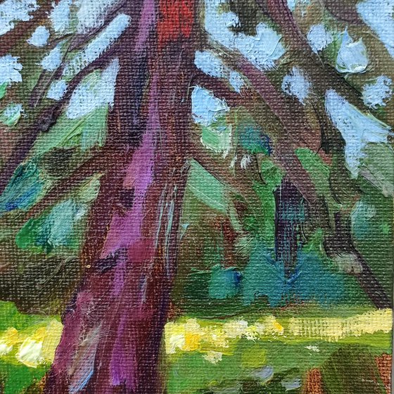 Old tree — original oil painting
