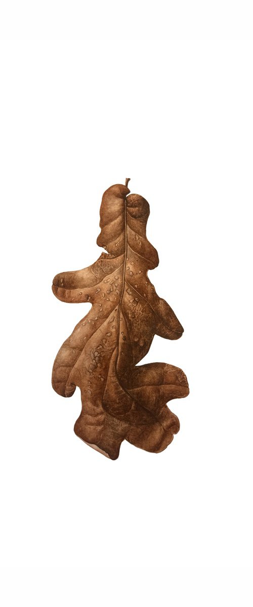 Oak leaf Painting by Yuliia Prokopchuk