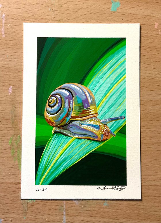 Snail