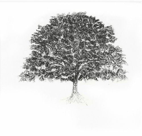 Memory Tree by Julie Dyer