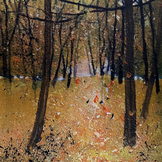 Seasons - Autumn Colours framed