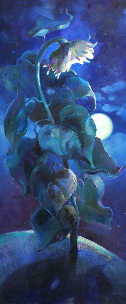 Quiet Ukrainian Night by Anastasiia Grygorieva