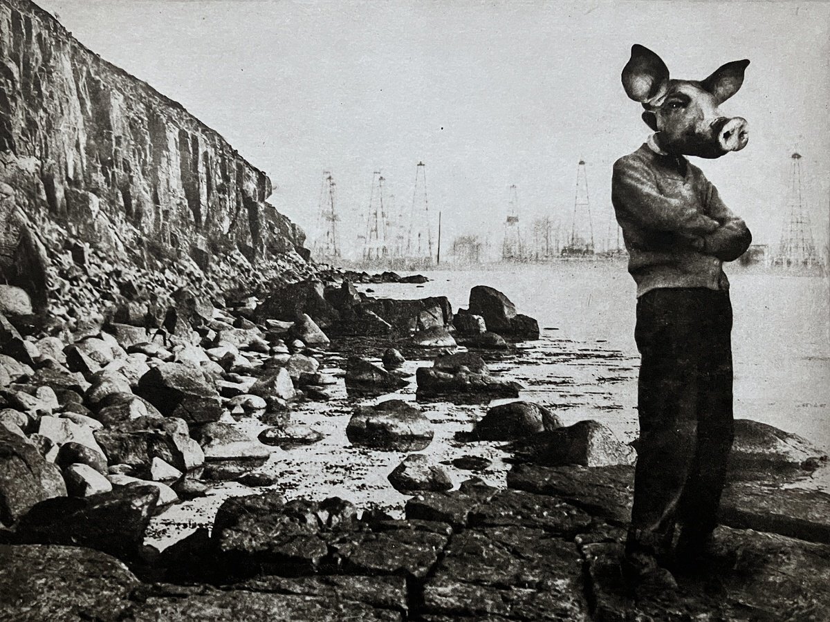 Surrealistic Portrait Etchings & Engravings By Jaco Putker, 13 X 10, The Pig Suite No.9: Planning Ahead, Original Artwork