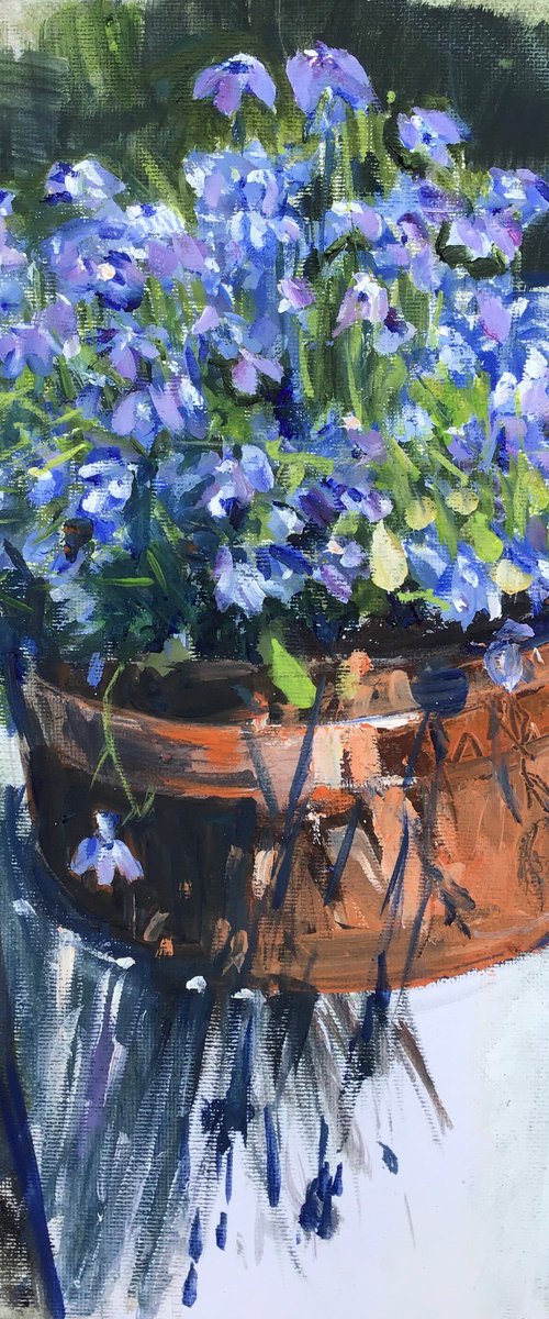 Lobelia by Sandra Haney