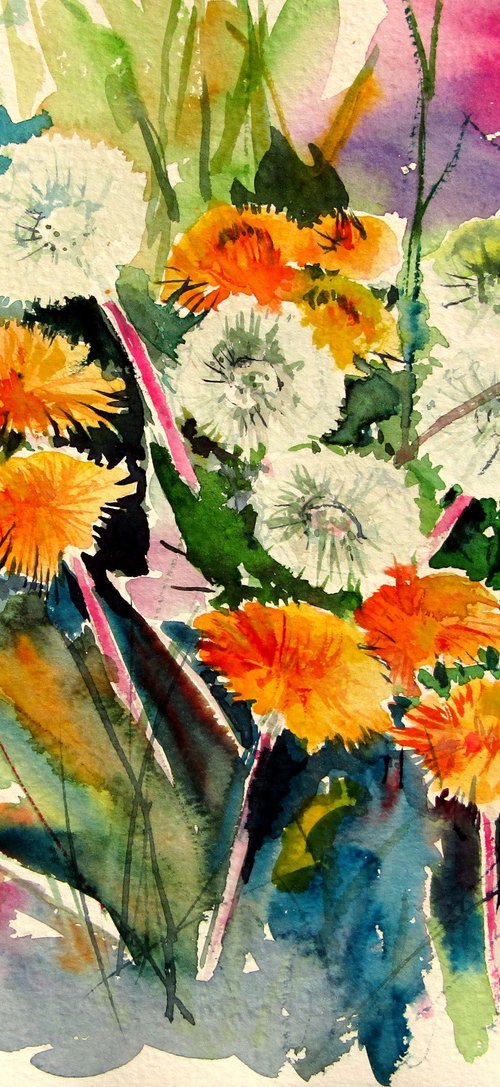 Beautiful dandelions by Kovács Anna Brigitta