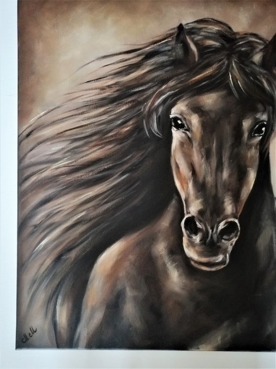 Arabian Horse - Original oil painting