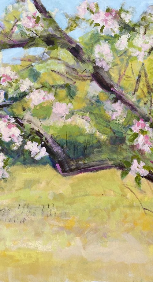 Blossom by Chrissie Havers