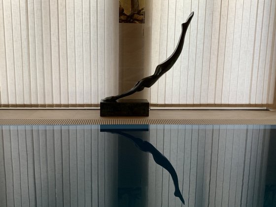 Diver (big)
