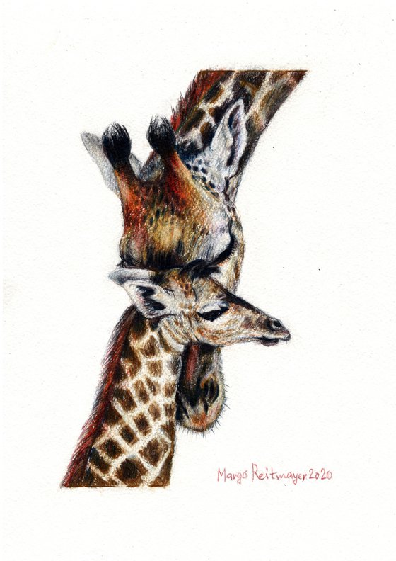 Mother's Love/Giraffe family #2