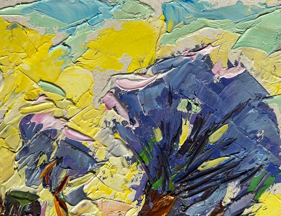 Winter morning in the field