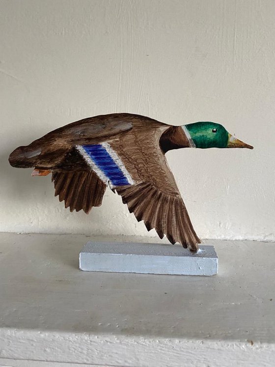 Flying Mallard