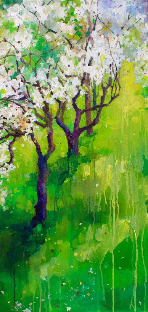 Whispers of Blossom Light by Zhanna Kondratenko