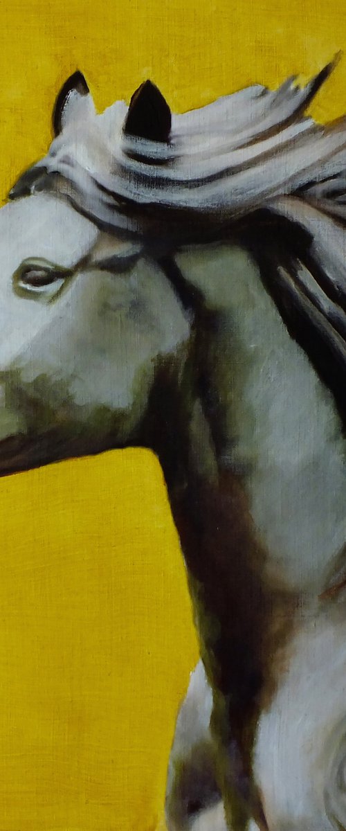 Der Pferdekopf 2 by Michael B. Sky