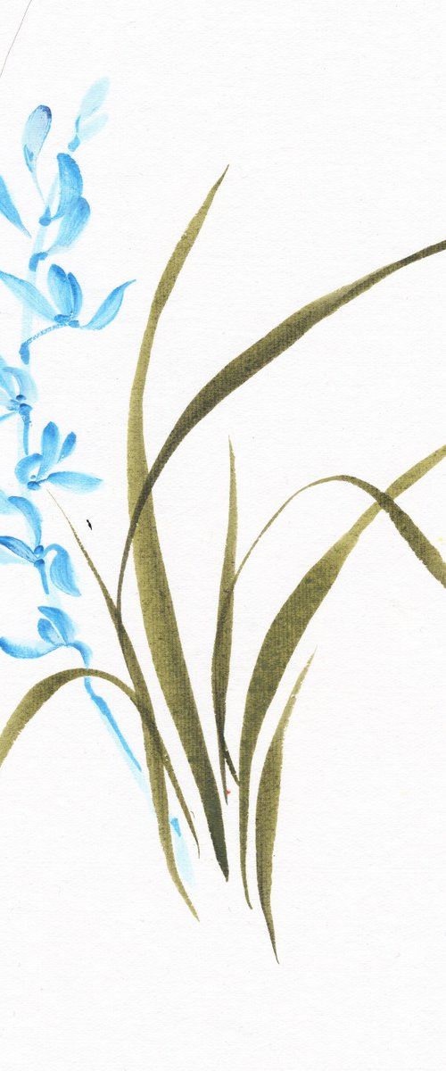 Blue Orchid Serenity by Hai Doan