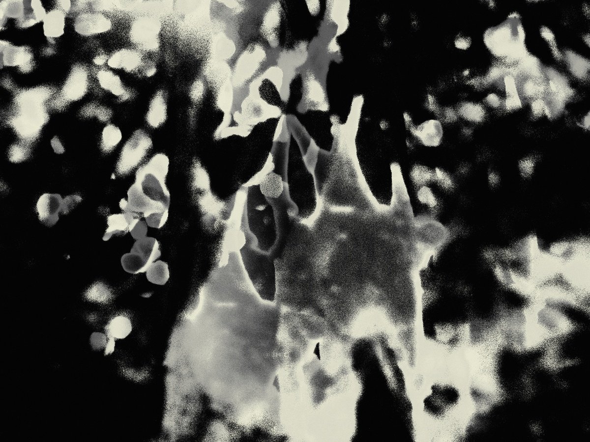Expressive Photograph , Timeless Shadows 3. By Petr Strnad, 16 X 12, Artwork For Sale On Artfinder