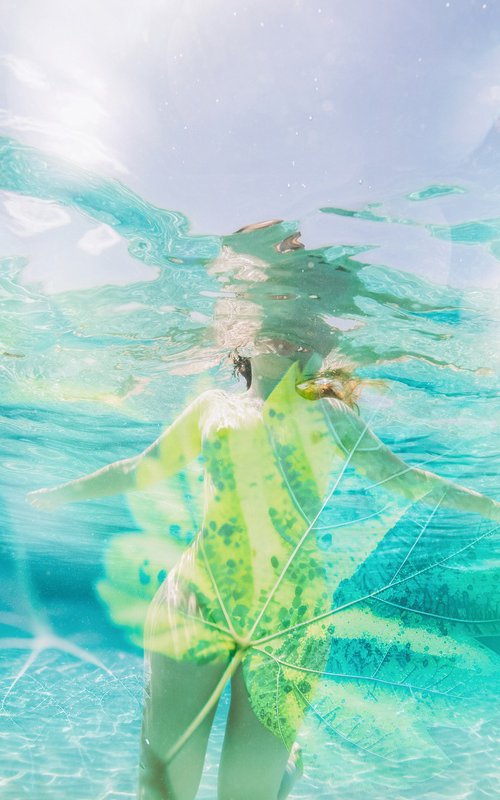 Underwater Eden by Xavi Baragona