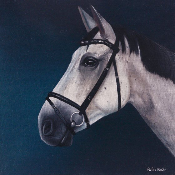 Horse Portrait 72