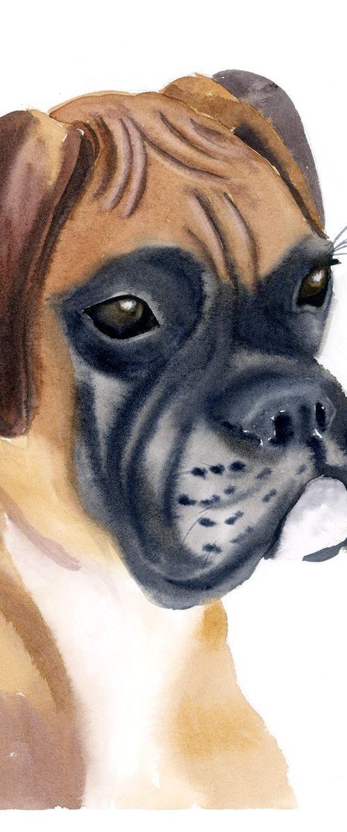 BOXER DOG Original Watercolor painting by Olga Tchefranov (Shefranov)