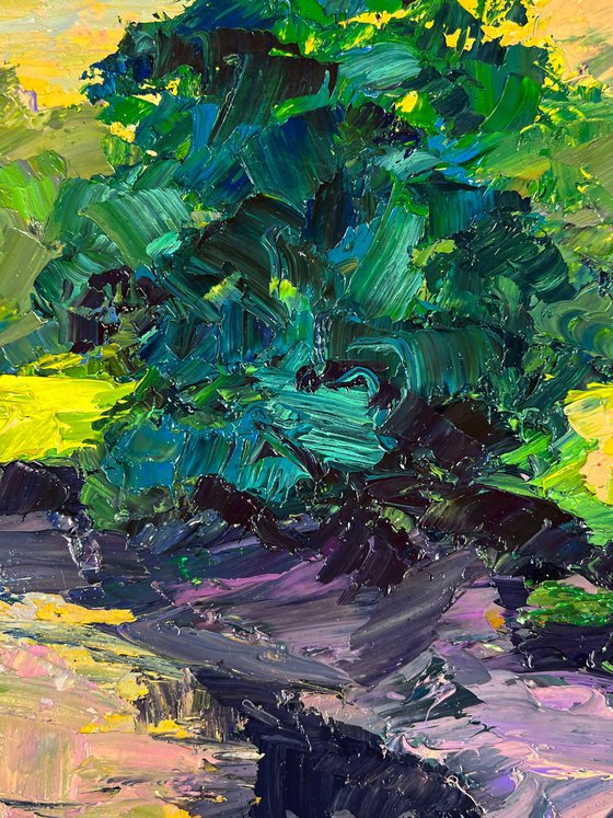 A Walk through the Evening Forest