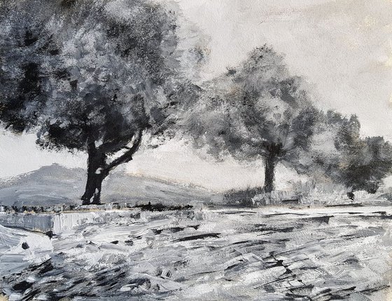 Olive trees