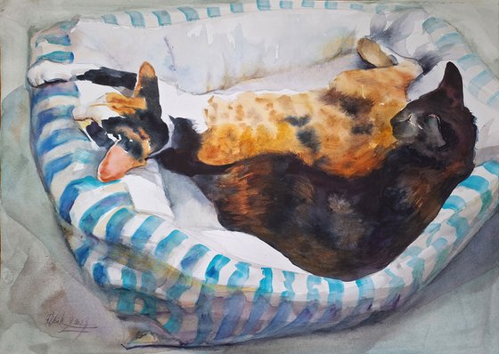 A pair of Abyssinian cats (watercolor painting)