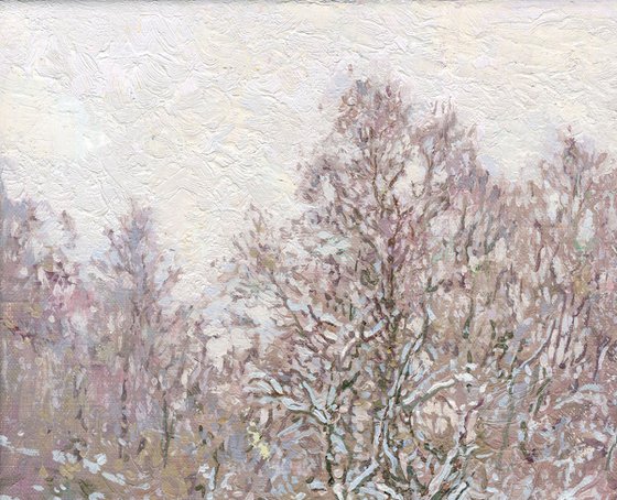 At the Ponomarka River in January