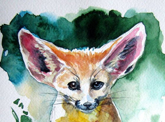 Desert fox