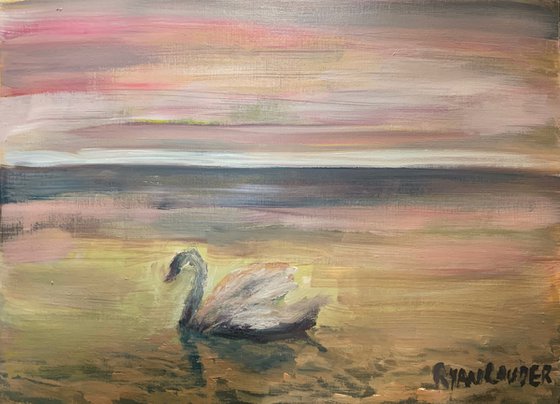 Swans At Dawn