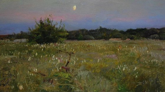 Twilight meadow