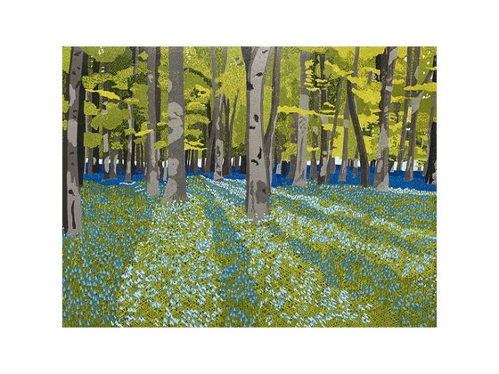 Bluebell Woods